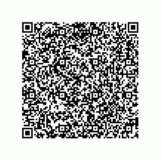 vCard 78332500198