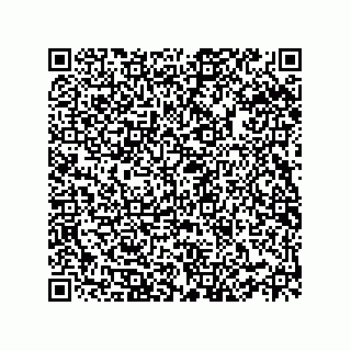 vCard 78332500199