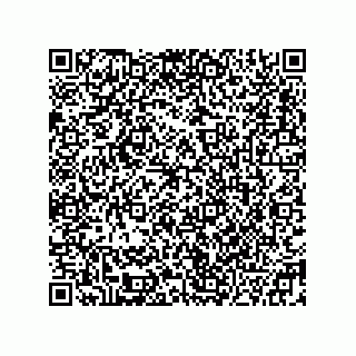 vCard 78332500205
