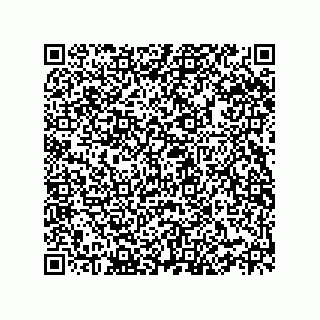vCard 78332500207