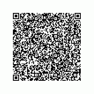 vCard 78332500221