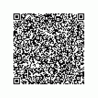 vCard 78332500251