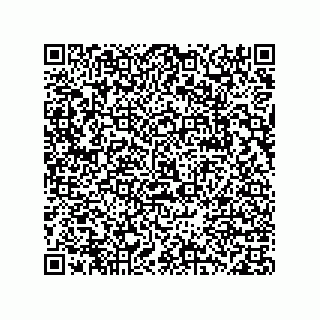 vCard 78332500256