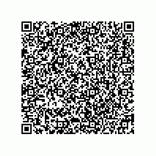 vCard 78332500259