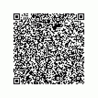 vCard 78332500263