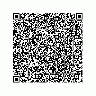vCard 78332500274