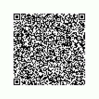 vCard 78332500303
