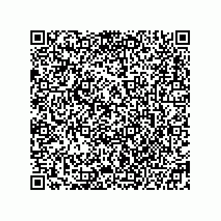 vCard 78332500304