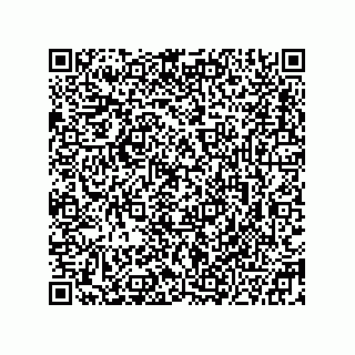 vCard 78332500313