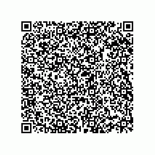 vCard 78332500334