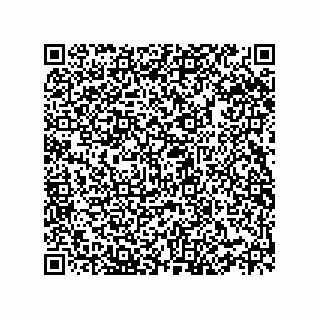vCard 78332500338