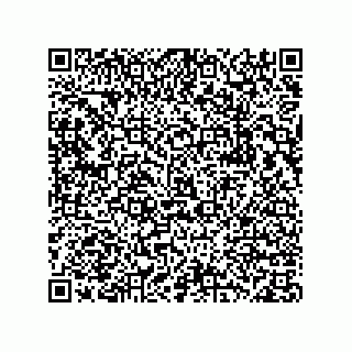 vCard 78332500339