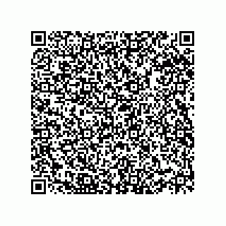 vCard 78332500352