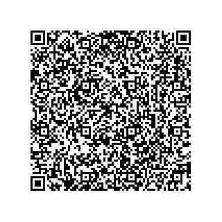 vCard 78332500379