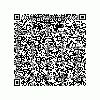 vCard 78332500381