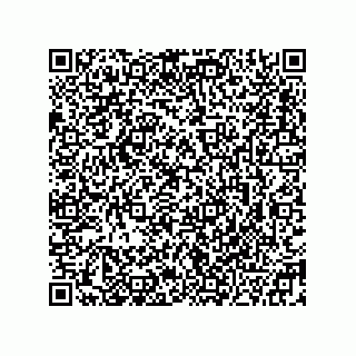 vCard 78332500383