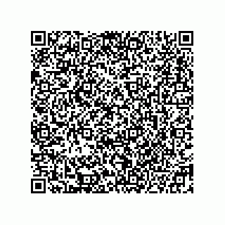 vCard 78332500385