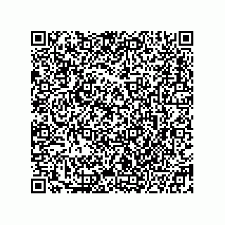 vCard 78332500386