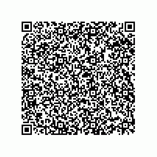 vCard 78332500393