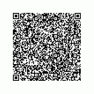 vCard 78332553713