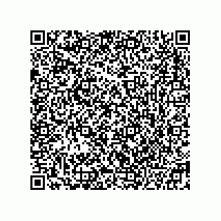 vCard 78332553715