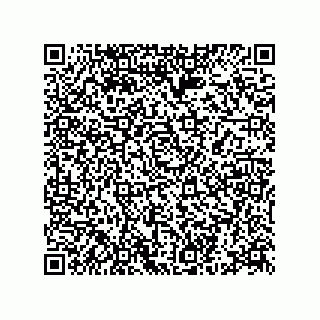 vCard 78332553781