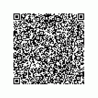 vCard 78332600133