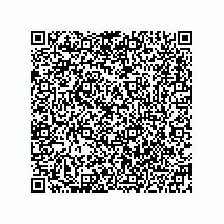 vCard 78332600871