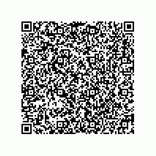 vCard 78332600879