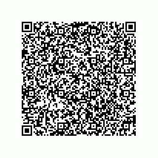 vCard 78332600881