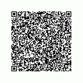vCard 78332600987