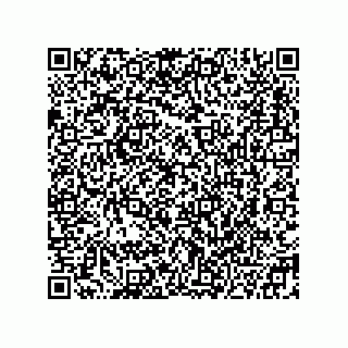 vCard 78332600992