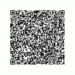 vCard 78332600993