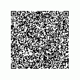 vCard 78332680039