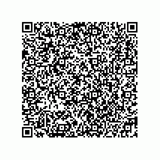 vCard 78332680251