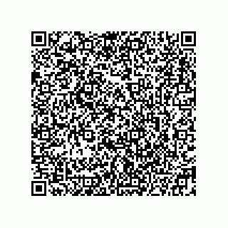 vCard 78332680321