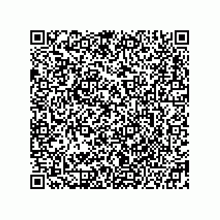 vCard 78332680385