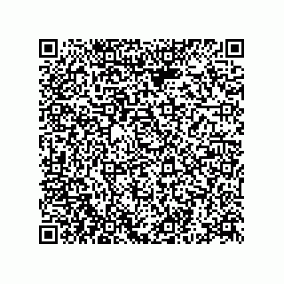 vCard 78332680399