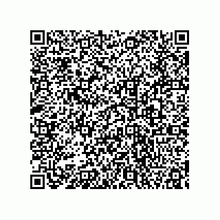 vCard 78333238400