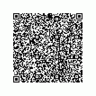 vCard 78333620013