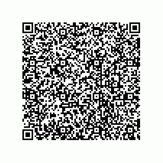 vCard 78333620100