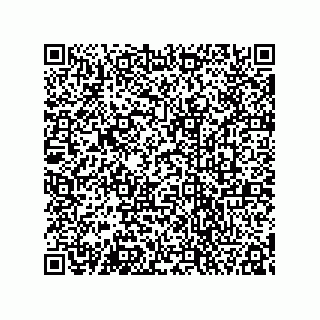 vCard 78333620110