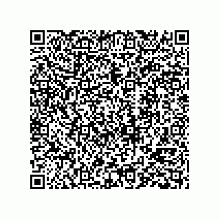 vCard 78333620291
