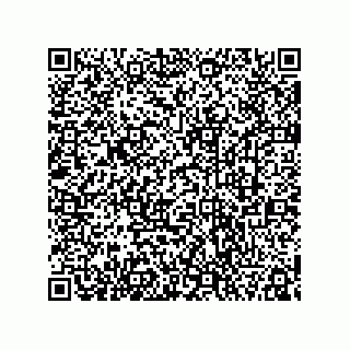 vCard 78333620321