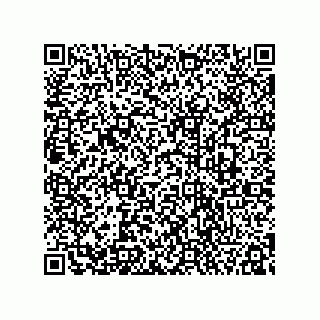 vCard 78333651589