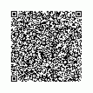 vCard 78333722100