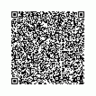 vCard 78333722181