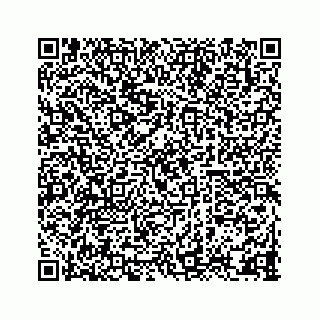 vCard 78333722208