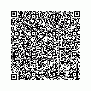 vCard 78333722209