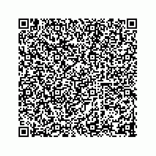 vCard 78333722241
